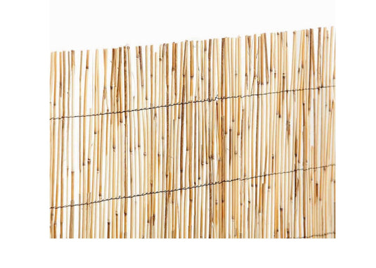 CAÑIZO BAMBU PELADO 1,5x5