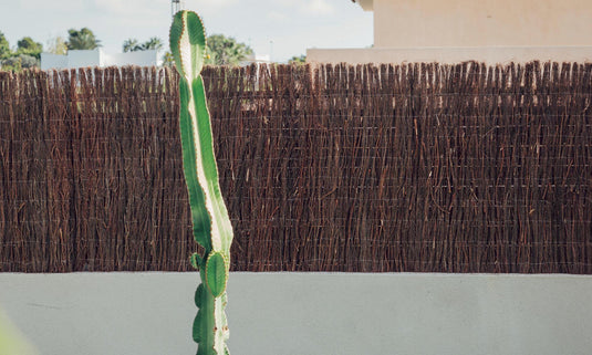 BREZO MEDIUM PLUS 1x5m NATURAL